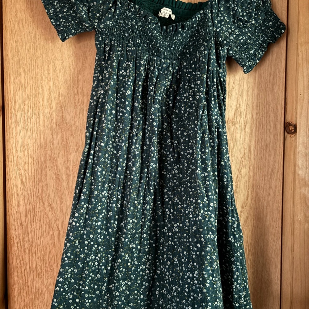 American Eagle Outfitters Dark Green Floral Dress